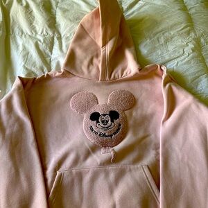 Tokyo Disney Sweater/Hoodie